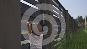 Young mother with her baby boy son brothers climbing on a garden fence - Family values warm color summer scene