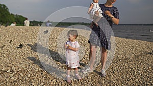 Young mother with her baby girl daughters feeding swan and little ducklings birds bread at a river wearing dotted dress