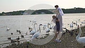 Young mother with her baby girl daughters feeding swan and little ducklings birds bread at a river wearing dotted dress