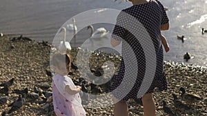 Young mother with her baby girl daughters feeding swan and little ducklings birds bread at a river wearing dotted dress