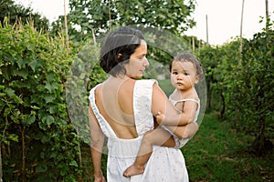 Young mother with her baby girl walking through a vineyard in summer playing and tasting fruits before the harvest at sunset.