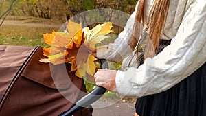 Young mother holding bunch of yellow and orange tree leaves walking in park and pushing baby stroller