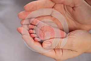 A young mother holds the foot of her newborn son. Close-up of female hands.