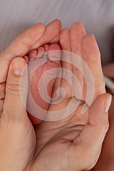 A young mother holds the foot of her newborn son. Close-up of female hands.