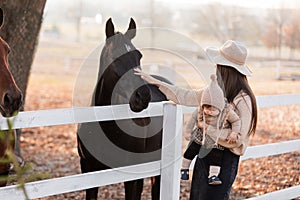 Young mother and little baby girl near a horses in autumn sunny day. Mother stroking a horse and smiling. mother`s day