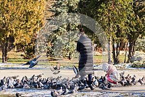 A young mother with a little girl feeds pigeons in the park