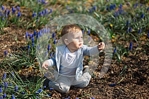 Young mother playing and talking with a baby boy son on a muscari field in Spring - Sunny day - Grape hyacinth - Riga