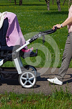 young mother pushing buggy