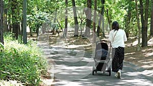 A young mother pushing her baby`s pram down a scenic park path.
