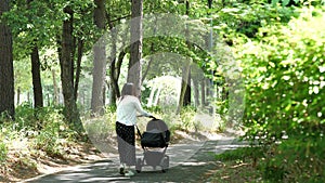 A young mother pushing her baby`s pram down a scenic park path.