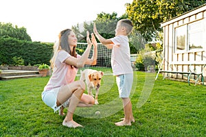 Young mother and son playing with dog, throwing a ball and have fun together. Happy family playing with tennis ball with