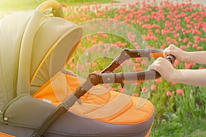 A young mother is walking with a baby stroller in a summer park on a sunny day