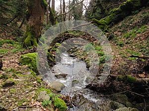 A young mountain river