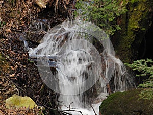 A young mountain river
