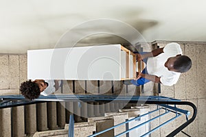 Young Movers Carrying Shelf While Climbing Steps