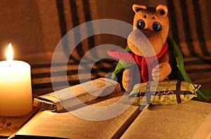 Young Mumintroll reads book