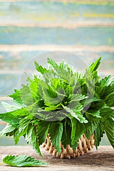 Young nettle leaves in basket on wooden rustic background, stinging nettles, urtica