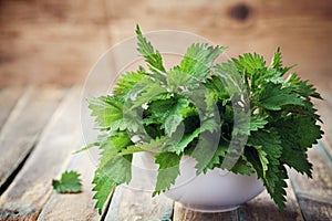 Young nettle leaves in pot on rustic background, stinging nettles, urtica photo