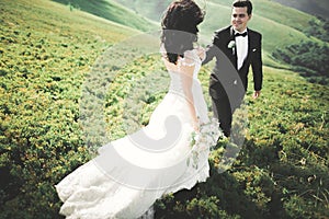 Young newly wed couple, bride and groom kissing, hugging on perfect view of mountains, blue sky