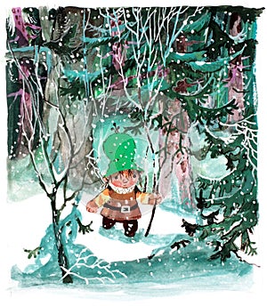 Young Nisse in the forest