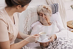 Young nurse serves tea to an elderly lady in a private nursing home