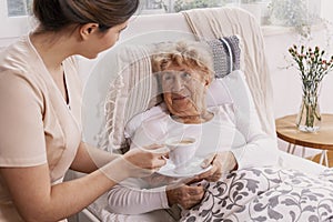 Young nurse serves tea to an elderly lady in a private nursing home photo