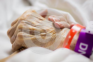 Young and old holding hands on hospital bed