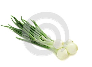 Young onion