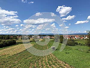 Young orchards and agricultural fields in the Pozega Basin