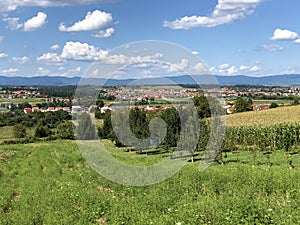 Young orchards and agricultural fields in the Pozega Basin