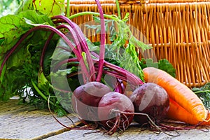 Young organic beetroots and carrots with leaves on a wooden table