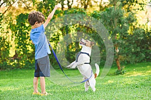 Young owner training dog to stand on hind paws. Pet dog and kid learning tricks together outdoor