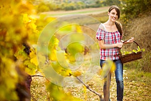 Young peasant woman in the vineyard