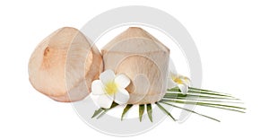 Young peeled coconuts with palm leaf and beautiful flowers on white background