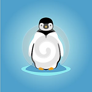 Young penguin vector style flat