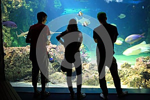 Young people in aquarium silhouettes