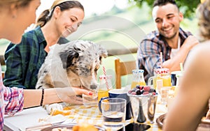 Young people at healthy pic nic breakfast with cute dog in countryside farm house - Happy friends millennials having fun together