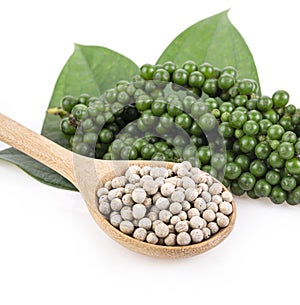 Young pepper corn on wooden background