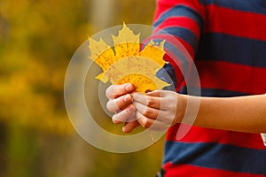 Young person holding leaf.