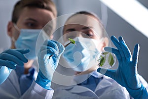 Young perspective investigators keeping and overlooking the glass with leaf.