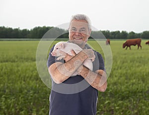 young pig and man