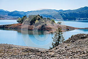 Young pinewood on the distant island background at the Aoos Springs Lake in the Metsovo in Epirus