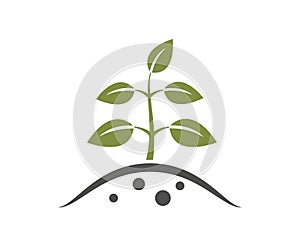 Young plant on ground icon. gardening, planting and growing symbol