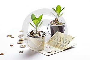 Young plant growing in glasses jars of coins account passbook, saving money, investment and financial