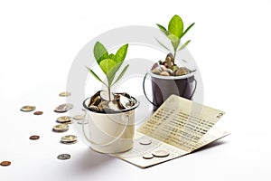 Young plant growing in glasses jars of coins account passbook, saving money, investment and financial photo