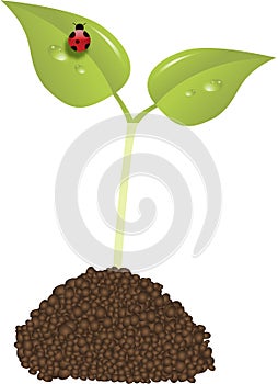 Young plant new life concept vector