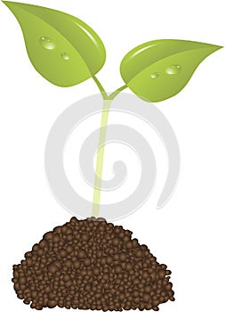 Young plant new life concept vector