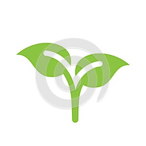Young plant sprout green vector icon