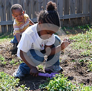 Young Planters