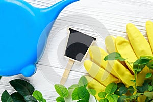 Young plants in pots, watering can, gloves for pottering on white wooden table. Spring, nature